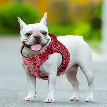 Load image into Gallery viewer, Floral Doggy Harness Red M
