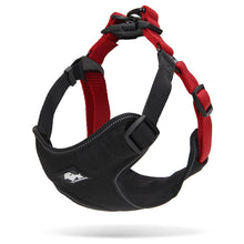 Load image into Gallery viewer, Urban Harness Black/Red M
