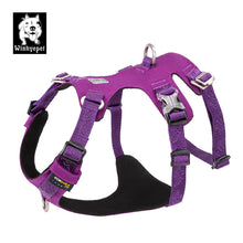 Load image into Gallery viewer, Whinhyepet Harness Purple S
