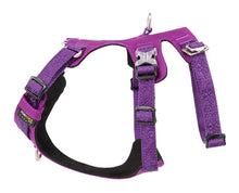 Load image into Gallery viewer, Whinhyepet Harness Purple L
