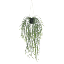 Load image into Gallery viewer, Artificial Hanging Potted Plant (Willow Leaf) 66cm UV Resistant

