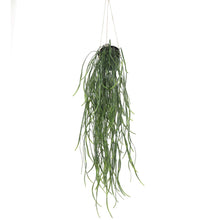 Load image into Gallery viewer, Artificial Hanging Potted Plant (Willow Leaf) 66cm UV Resistant
