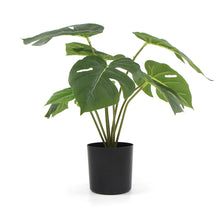 Load image into Gallery viewer, Potted Artificial Split Philodendron Plant With Real Touch Leaves 35cm
