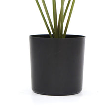 Load image into Gallery viewer, Potted Artificial Split Philodendron Plant With Real Touch Leaves 35cm
