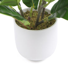 Load image into Gallery viewer, Decorative Potted Dense Artificial Fiddle Leaf Fig In Beautiful Decorative Bowl 37cm
