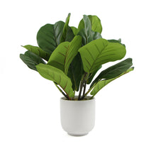 Load image into Gallery viewer, Decorative Potted Dense Artificial Fiddle Leaf Fig In Beautiful Decorative Bowl 37cm
