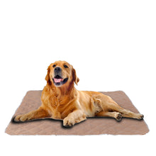 Load image into Gallery viewer, PaWz 2 Pcs 120x120 cm Reusable Waterproof Pet Puppy Toilet Training Pads - Oceania Mart
