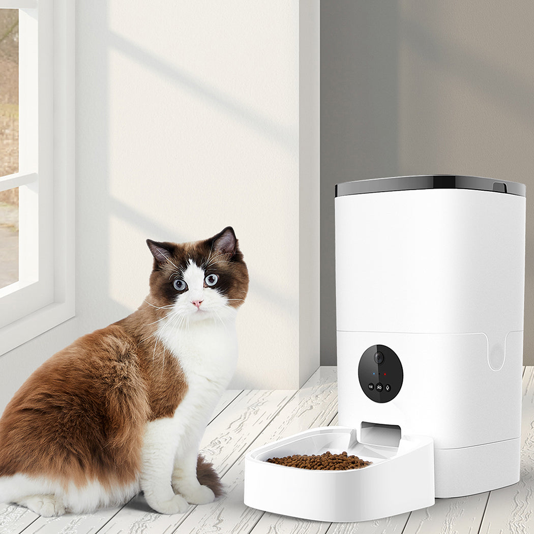 Pawz Auto Feeder Pet Automatic Camera Cat Dog Smart Hd Wifi App Food Dispenser - Oceania Mart